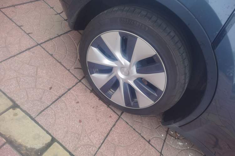 Used Tesla Model Y 2022 Revised Version Long-Range All-Wheel Drive
