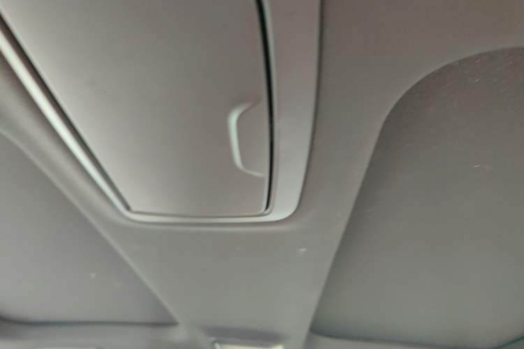 Used BMW 5 Series New Energy 2022 Restyled 535Le M Sport Package Headliner