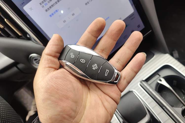 Used Hongqi HS7 PHEV 2024 2.0T PHEV Four-Wheel Drive Flagship Edition 6 Seats