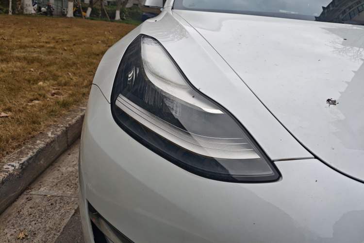 Used Tesla Model 3 2019 Long-Range All-Wheel-Drive Version