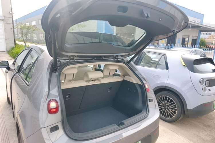 Used firefly 2025 Illuminated Edition
