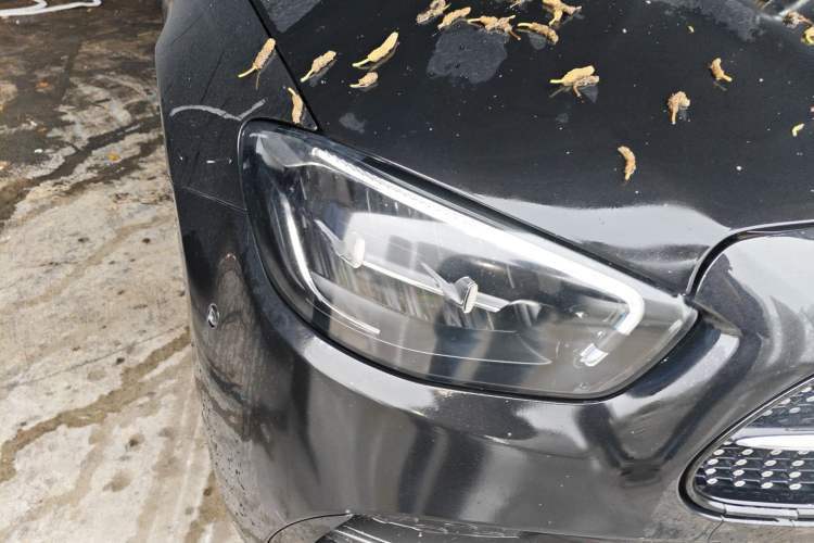 Used Mercedes-Benz E-Class 2022 Revised Version E 300 L Sport Luxury Edition Right Front Headlight