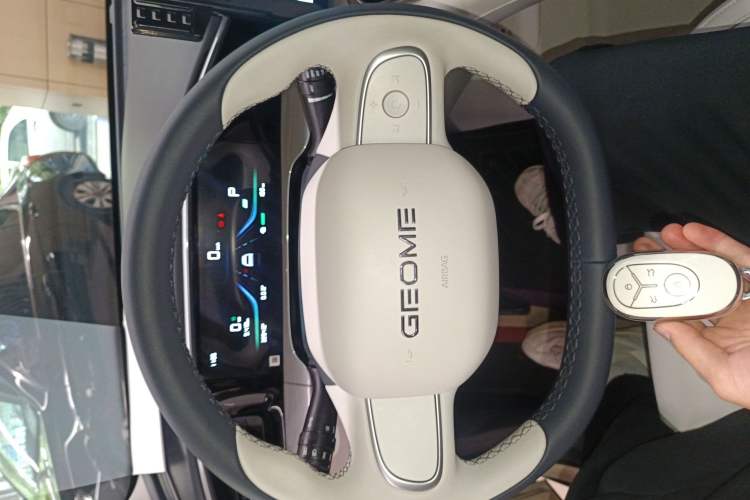 Used Geely Galaxy Geome 2025 310km Youth Edition Interior 1