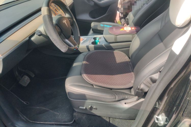 Used Tesla Model Y 2021 Standard Range Rear-Wheel Drive Version
