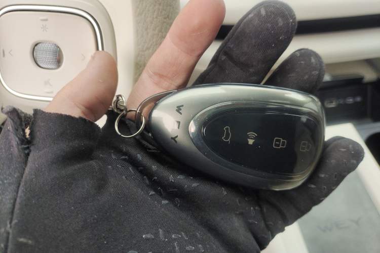 Used Wey Lanshan 2025 Four-Wheel Drive Max
