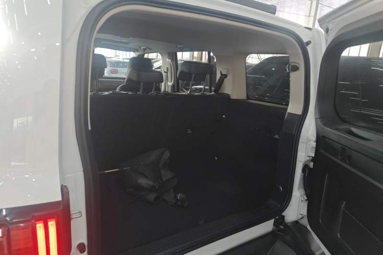 Used Tank 300 2024 2.0T Conqueror