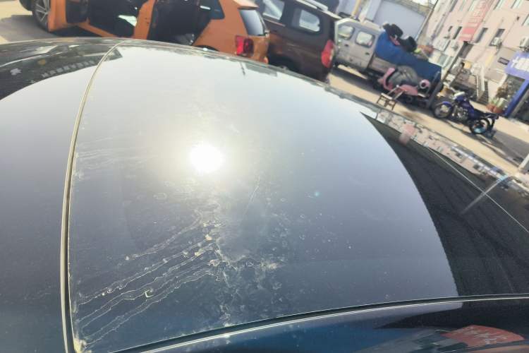 Used Tesla Model 3 2022 Rear-Wheel-Drive Version Roof