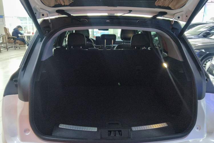 Used Lincoln Corsair 2022 2.0T Two-Wheel Drive Luxury Edition
