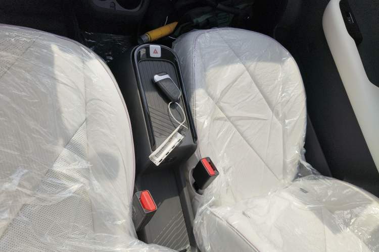 Used Chery Little Ant 2024 Facelifted 321km Beloved Edition Gear Lever