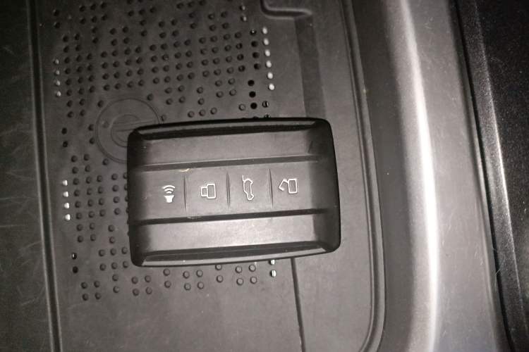 Used Tank 300 2024 2.0T Crosser
