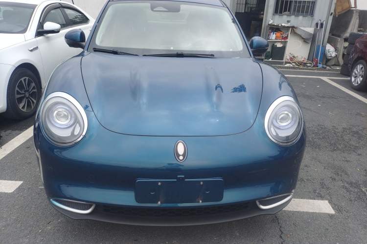 Used ORA Good Cat 2023 401 km Standard Range Comfort Version Lithium Iron Phosphate