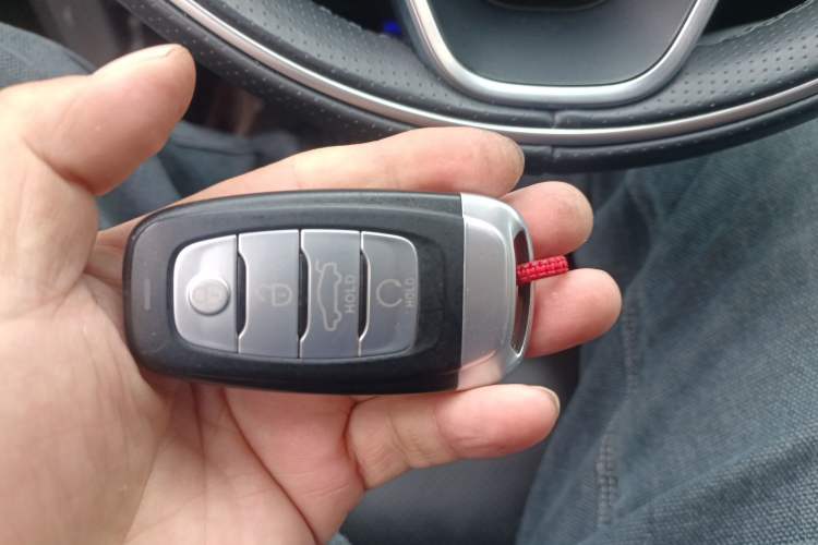 Used Hongqi H9 2020 3.0T Smart Connect Flagship Edition Vehicle Key