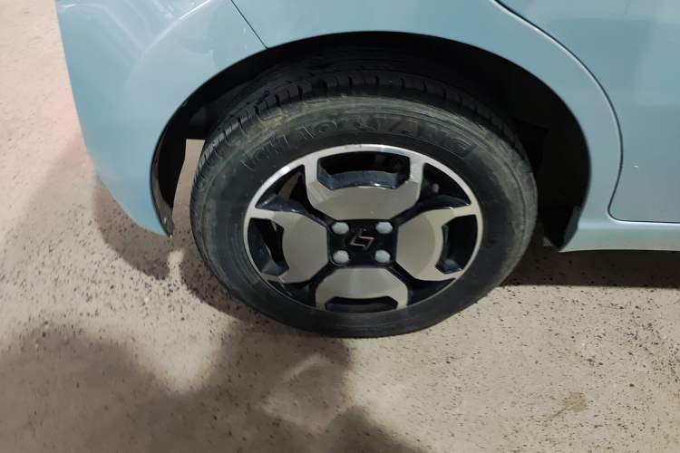 Used SOL E10X 2022 Flower Fairy Style Baby's Breath