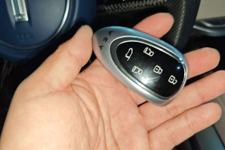 Used Wey Gaoshan 2023 Four-Wheel Drive Flagship Edition