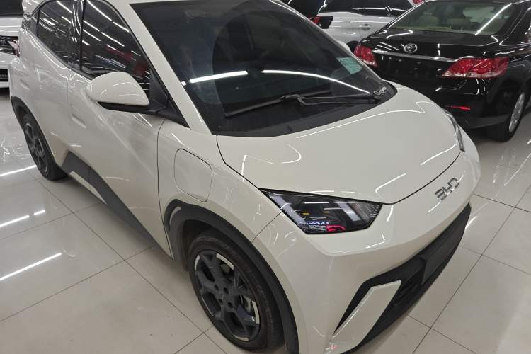 Used BYD Seagull 2025 305 km Free Version