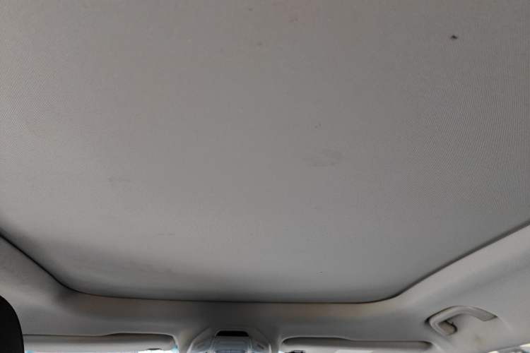 Used Farizon FX 2020 1.8T Smart Connect Edition 4 Seats Headliner