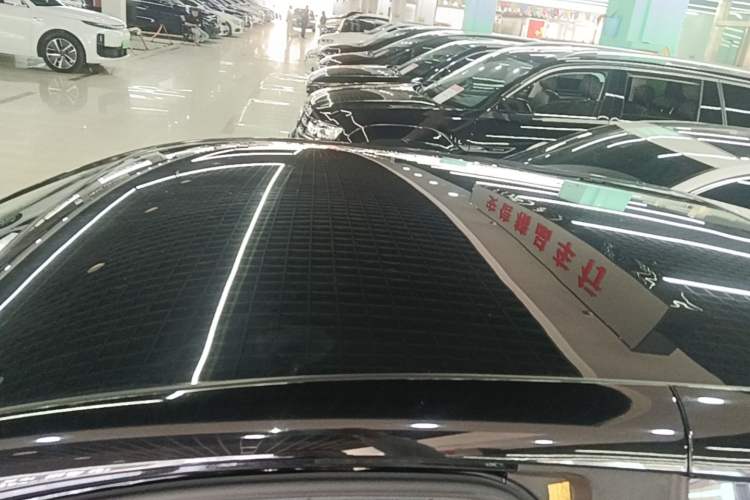 Used Chery QQ Little Ant 2024 251km True Love Edition
