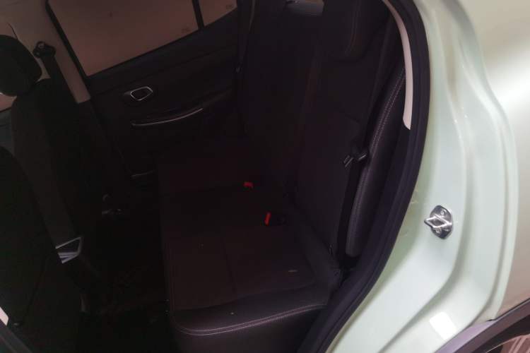 Used Dayun Yuehu 2022 300 Standard Edition Left Rear Seat