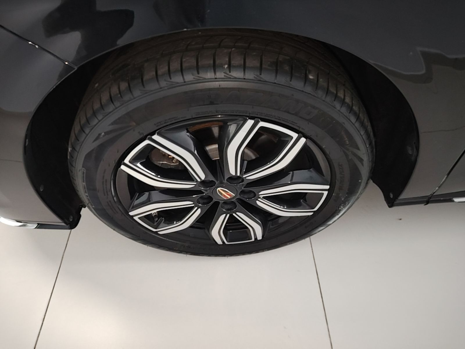 Hongqi HQ9 2023 2.0T Smart Connect Flagship Edition - Chinese Trim Yue — снимка 10