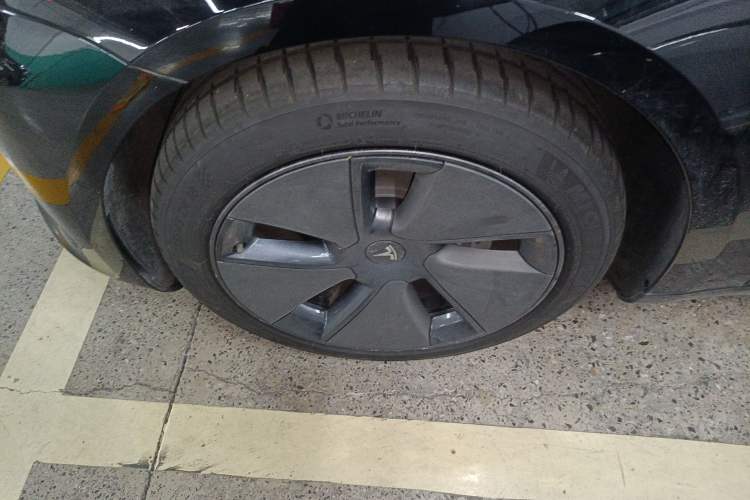 Used Tesla Model 3 2022 Rear-Wheel-Drive Version Exterior 4