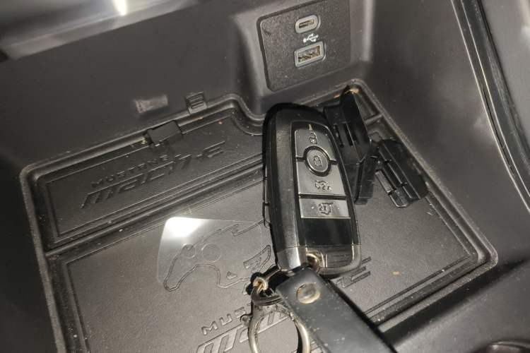 Used Ford Mustang Mach-E 2021 AION Y Plus Rear-Drive Luxury Edition (Long Range)