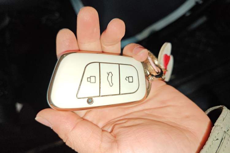 Used Chery Little Ant 2022 Restyled Version Sweet Pink Edition Half-Sugar Version 28.8 kWh 30 kW 301 km
