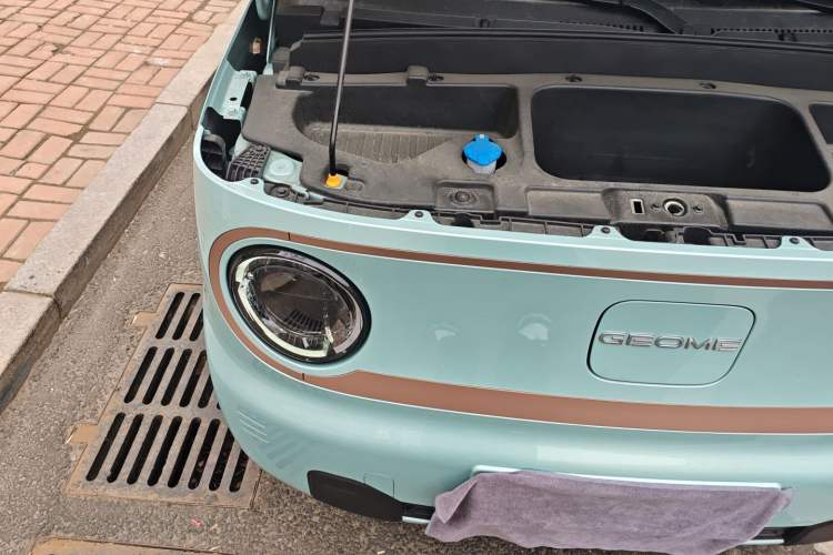 Used Geely Galaxy Panda 2024 Panda Mini 200km Endurance Bear