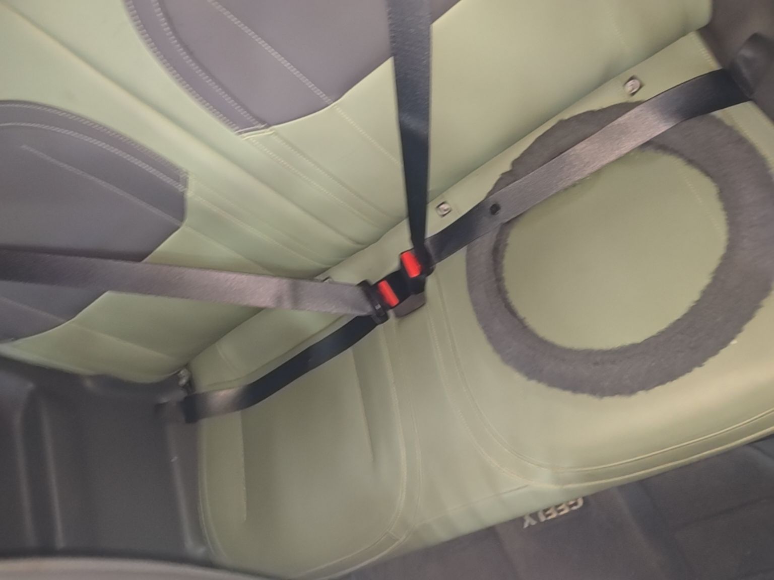 Geely Galaxy Panda 2024 200km Panda Rider — снимка 20