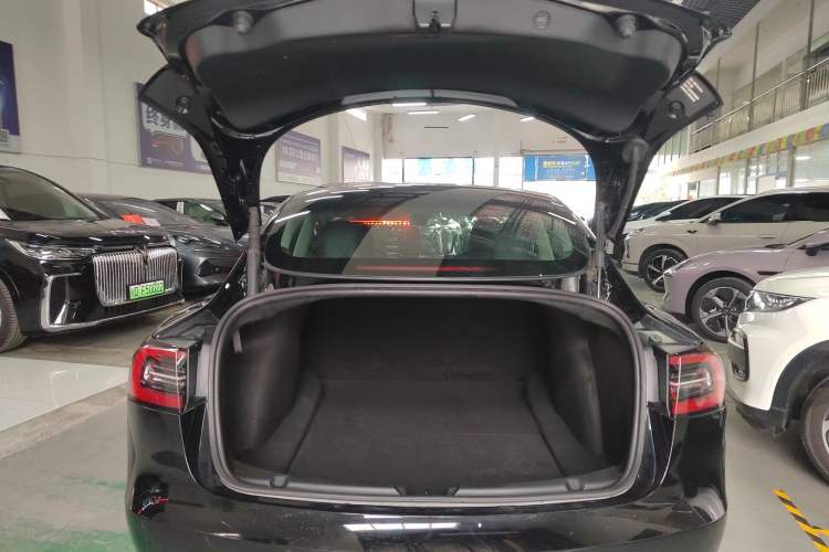 Used Tesla Model 3 2022 Performance High-Performance All-Wheel-Drive Version
