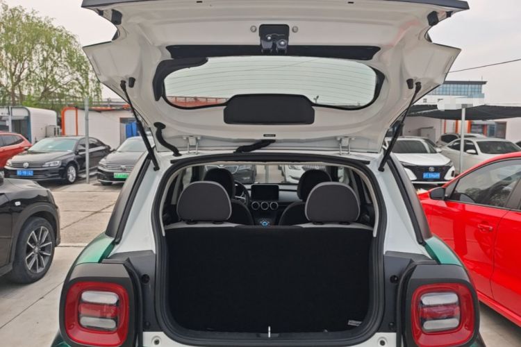 Used ORA Black Cat 2019 351 km Goddess Edition
