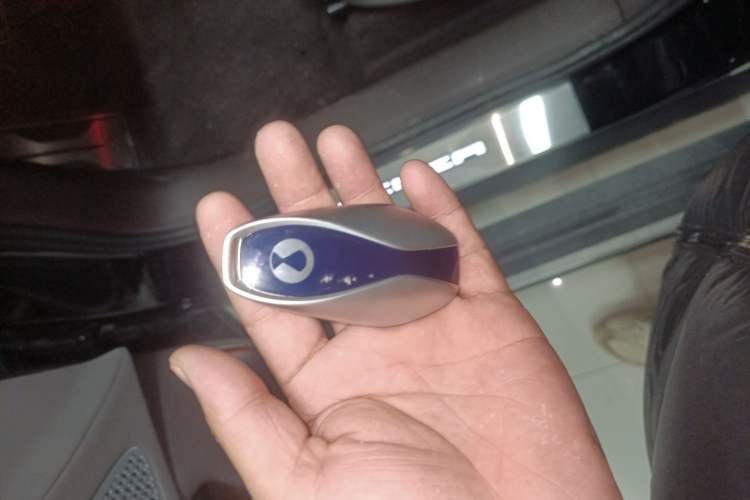 Used Denza N9 2025 Flagship Model
