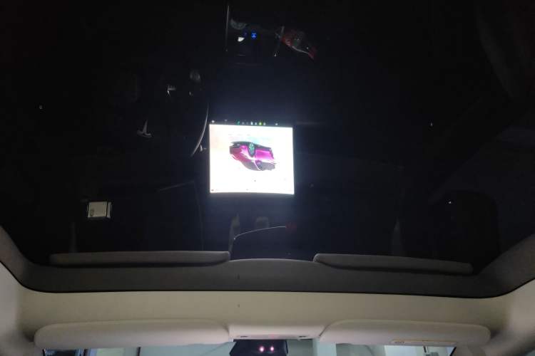 Used Tesla Model Y 2022 Rear-Wheel-Drive Version Headliner