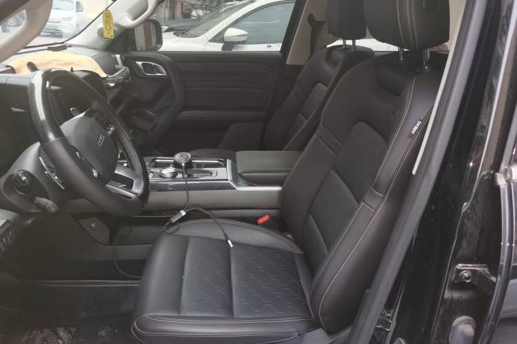 Used Haval DARGO 2024 2.0T DCT Chinese Rural Dog Edition
