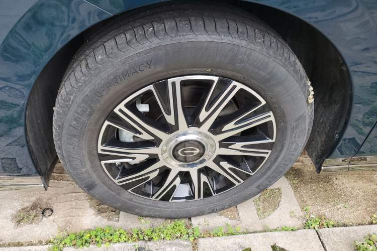 Used GAC Trumpchi E9 2023 E9 MAX Exterior 4