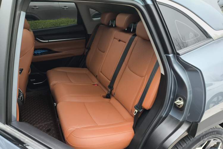 Used Chery New Energy eQ5 2020 High-Energy Pro Edition Left Rear Seat