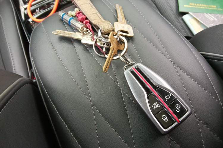 Used Hongqi HS5 2022 Revised Version 2.0T Smart Connect Flagship Edition Vehicle Key