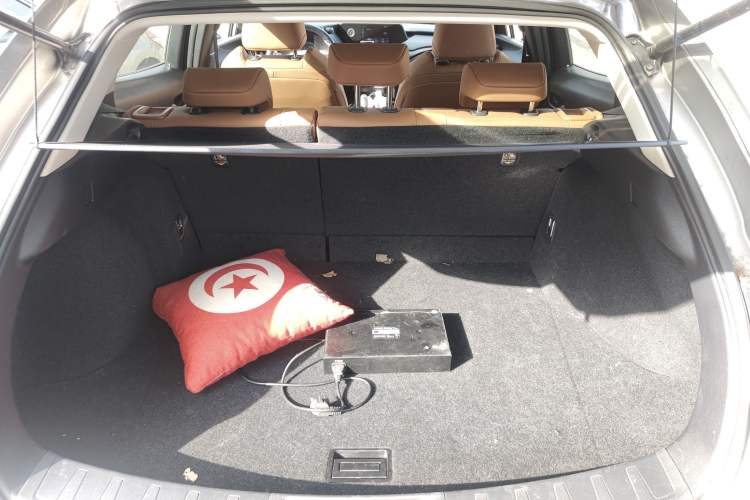 Used Lexus UX New Energy 2020 300e Pure·Joy Edition