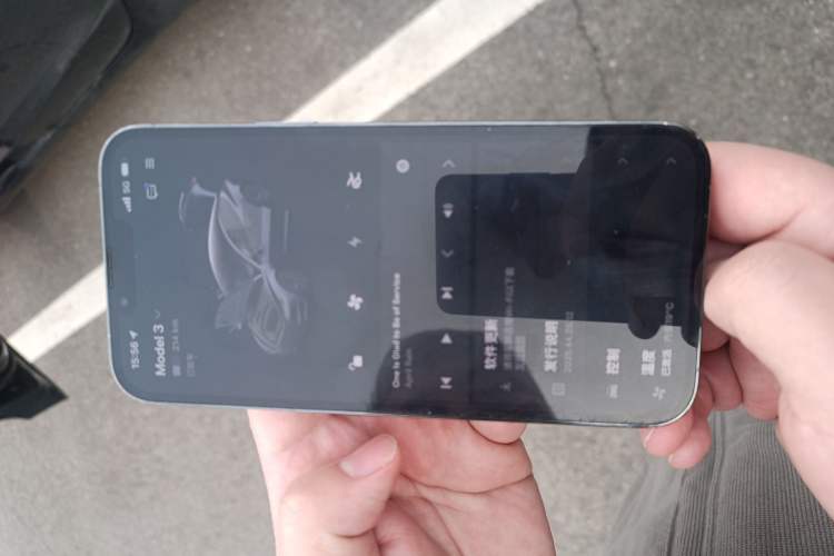 Used Tesla Model 3 2023 Rear-Wheel-Drive Version