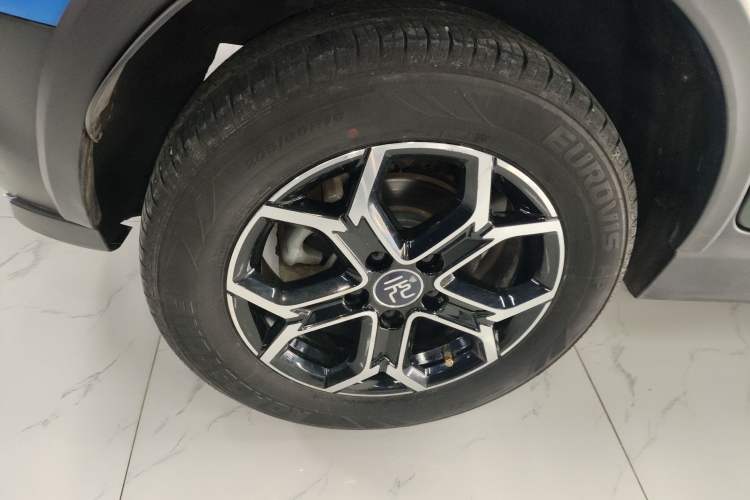 Used BYD Yuan Pro 2021 "Love for a Lifetime" Edition