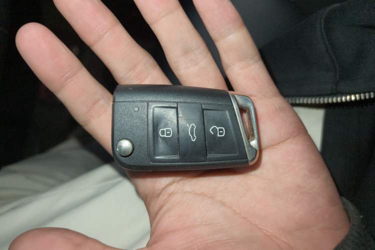 Used Volkswagen Lamando 2019 280TSI DSG Luxury Edition China V Standard
