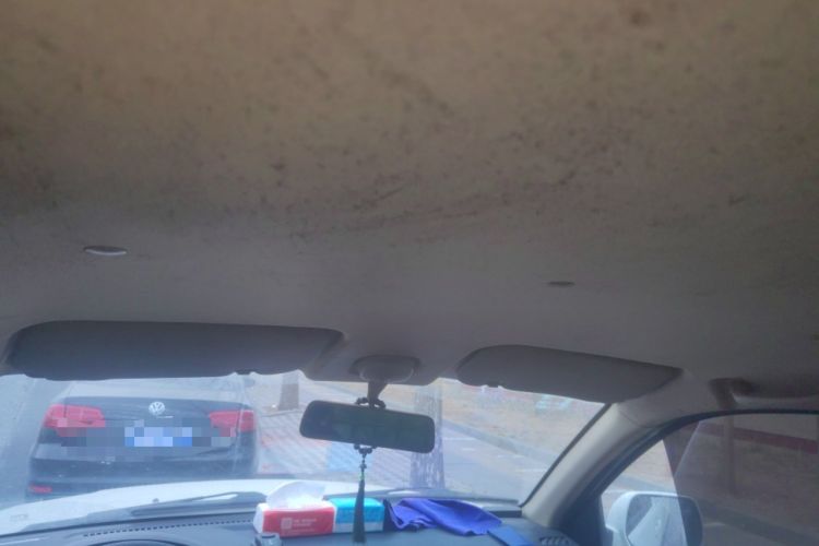 Used CHANGAN KAICHENG Shenqi F30 2019 1.5L Comfort Edition China VI Dual-Cab Short-Wheelbase DAM15KL Headliner