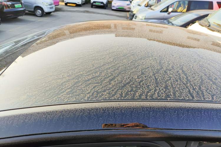 Used Tesla Model Y 2023 Rear-Wheel-Drive Version