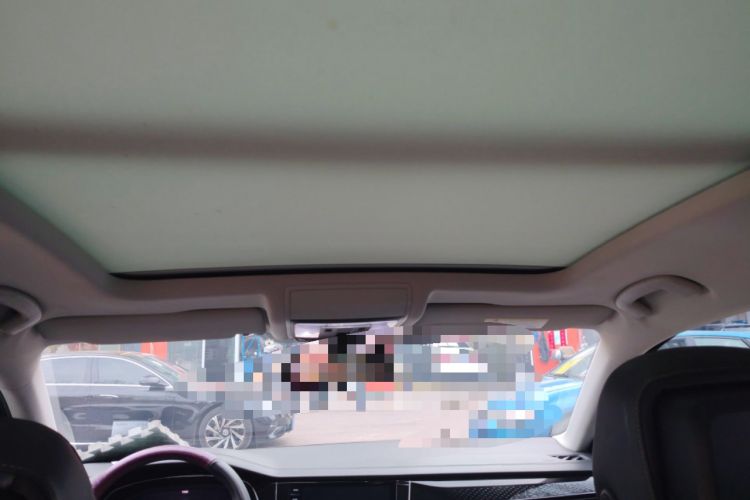 Used Volkswagen Passat 2020 Revised Version 330TSI Luxury Edition China VI Standard Headliner