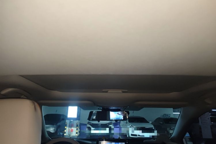 Used Toyota Corolla 2019 1.2T S-CVT GL-i Elite Edition Headliner