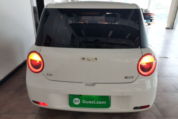 Used Qiyuan Lumin 2022 210km Sweet Edition
