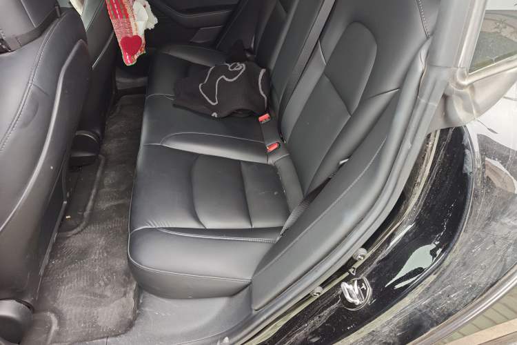 Used Tesla Model 3 2021 Revised Version Standard Range Rear-Wheel Drive Upgraded Edition 3D1