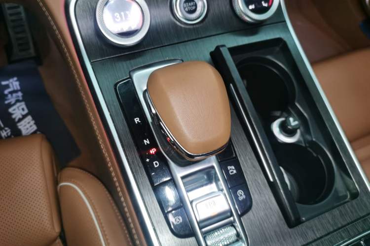 Used Hongqi H9 2023 2.0T Smart Connect Flagship Edition