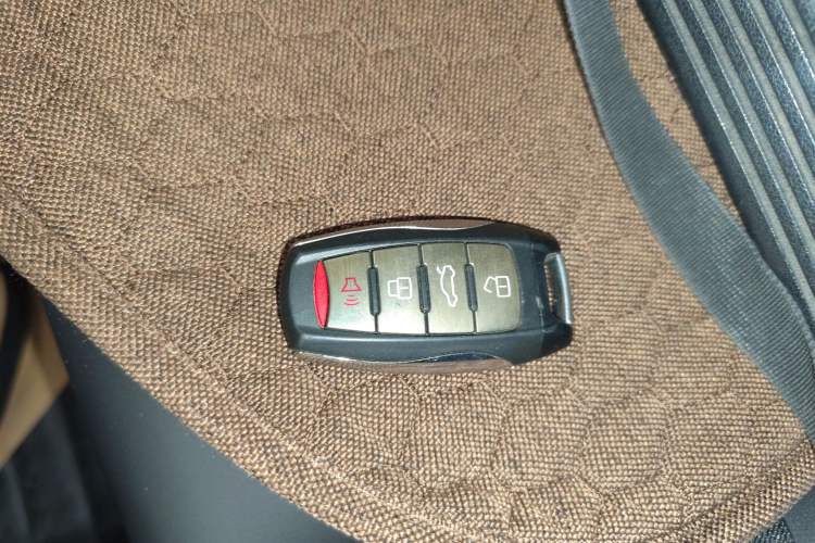 Used Haval DARGO 2021 1.5T DCT Two-Wheel Drive Labrador Edition
