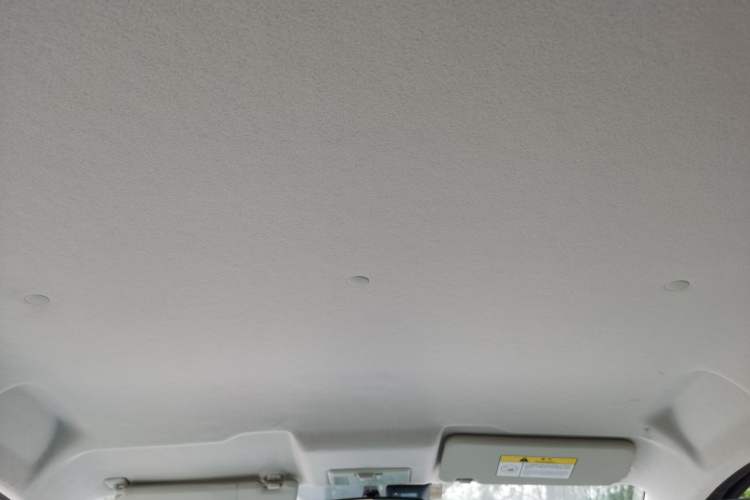 Used CHANGAN Benni E-Star 2021 National Edition Colorful Version Lithium Iron Phosphate (31.86 kWh) Headliner