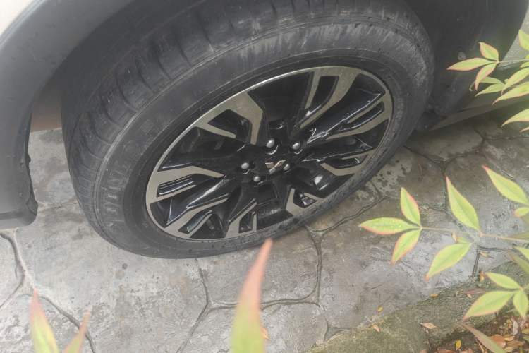 Used Mitsubishi Outlander 2019 2.0L Two-Wheel Drive Comfort Edition 5 Seats China VI Standard